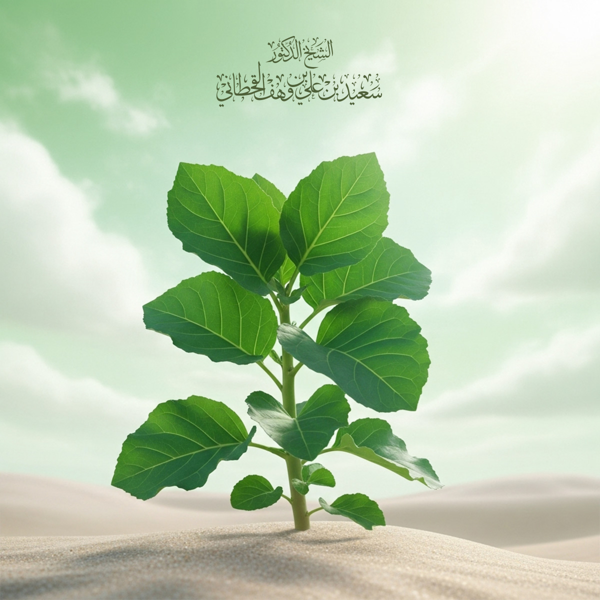 تربية النبي صلى الله عليه وسلم لأصحابه رضي الله عنهم - Image 1