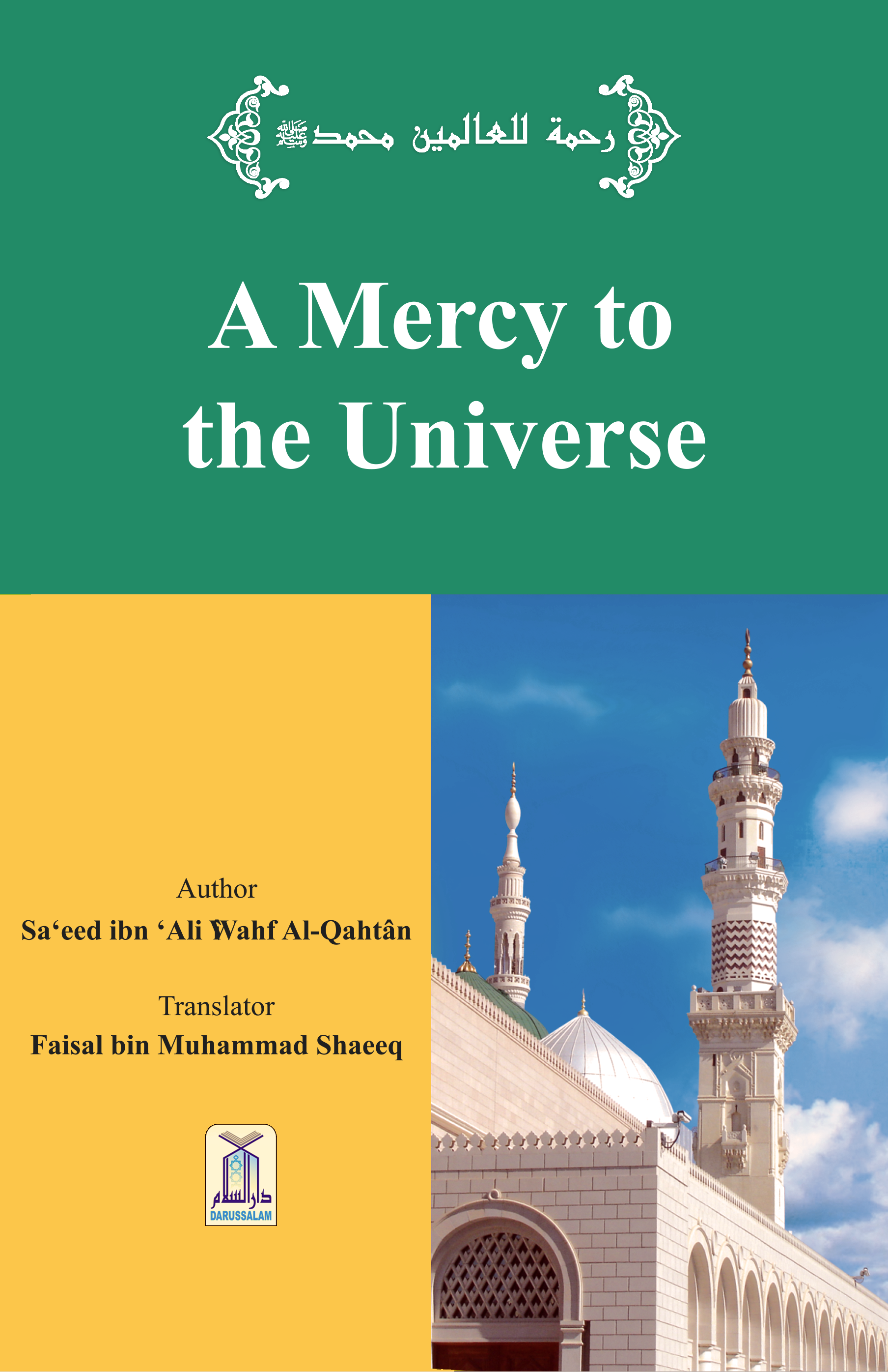 A Mercy to the Universe - Image 1